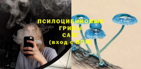 синтетический гашиш Костерёво