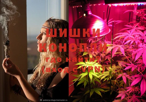 соль ск Грязовец