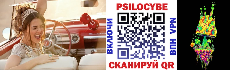 хочу наркоту  Козьмодемьянск  Псилоцибиновые грибы Cubensis 